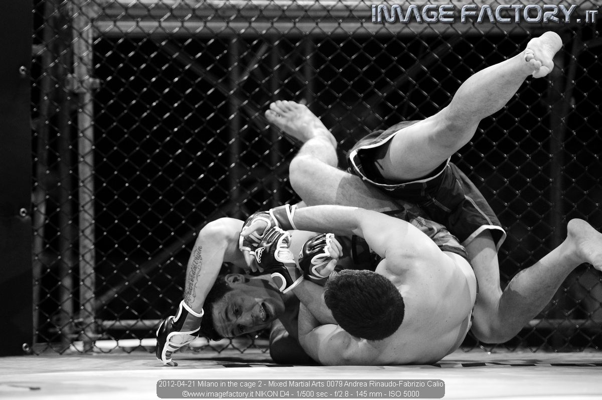 2012-04-21 Milano in the cage 2 - Mixed Martial Arts 0079 Andrea Rinaudo-Fabrizio Calio